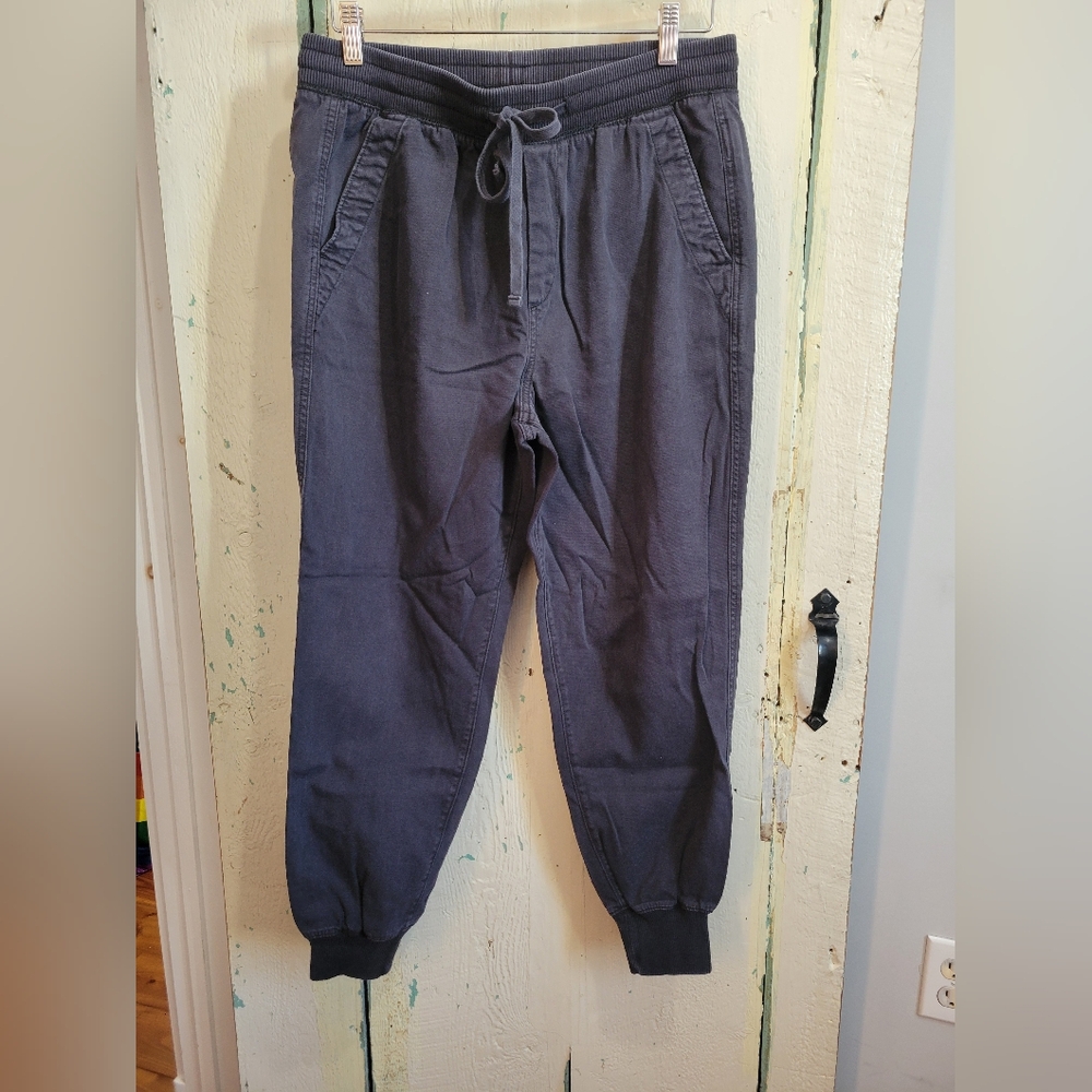 Gap Lyocell Cotton Jogger Pants